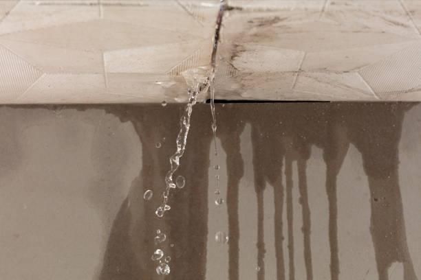 Professional Emergency Water Removal technician working in Lexington, MI